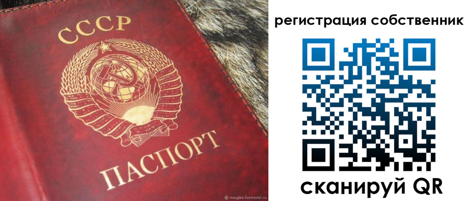 временная регистрация надежно в Валдае